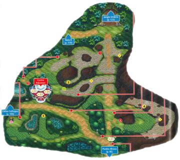 alola route 5